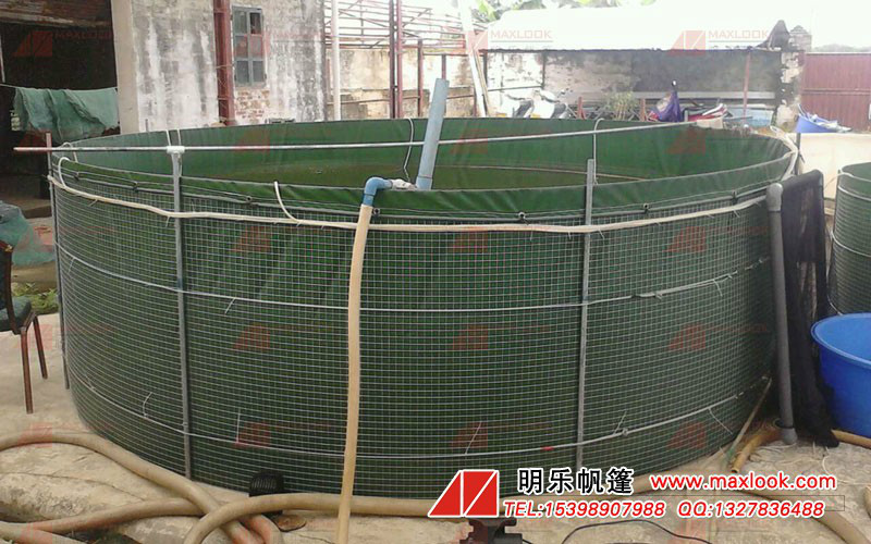 帆布魚池圖片/帆布魚池樣板圖 (4)