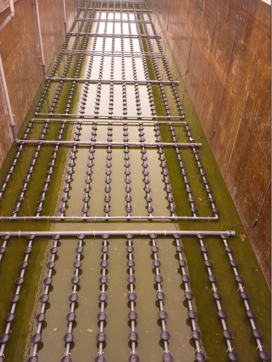 進(jìn)口盤式曝氣器圖片/進(jìn)口盤式曝氣器樣板圖 (1)