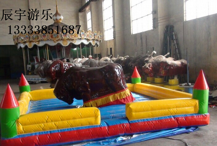 小型海盜船圖片/小型海盜船樣板圖 (3)