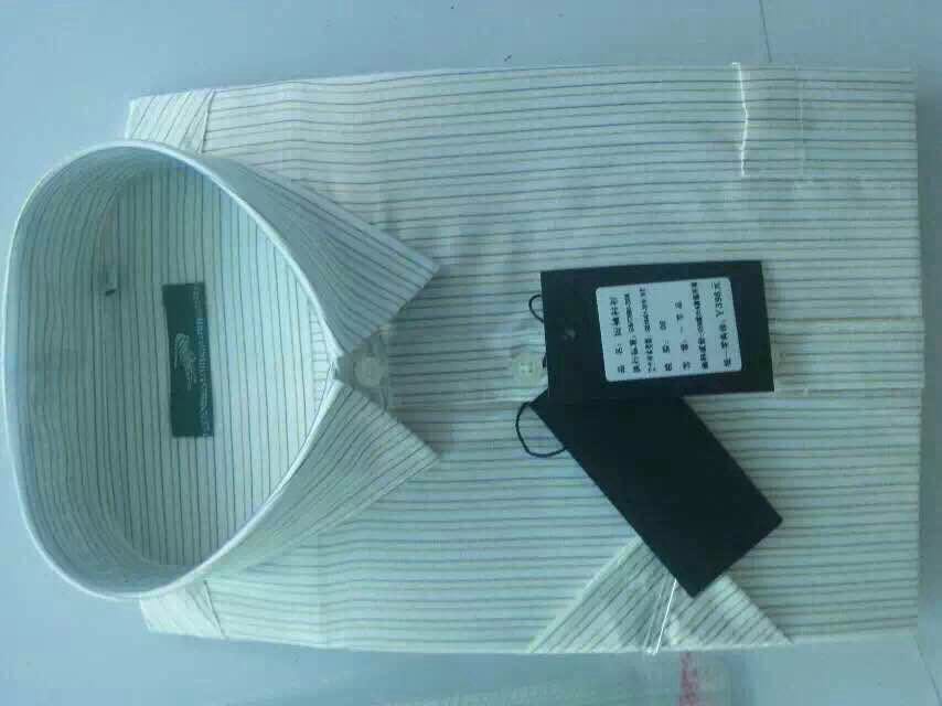 男士襯衫圖片/男士襯衫樣板圖 (3)
