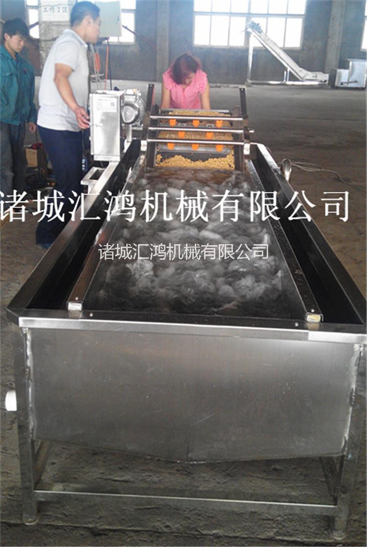 全自動臭氧洗果機(jī)圖片/全自動臭氧洗果機(jī)樣板圖 (4)