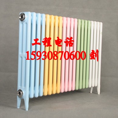 灰鑄鐵散熱器圖片/灰鑄鐵散熱器樣板圖 (3)