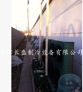 供應用于水果的物流冷庫設(shè)計、安裝冷庫、大型果蔬