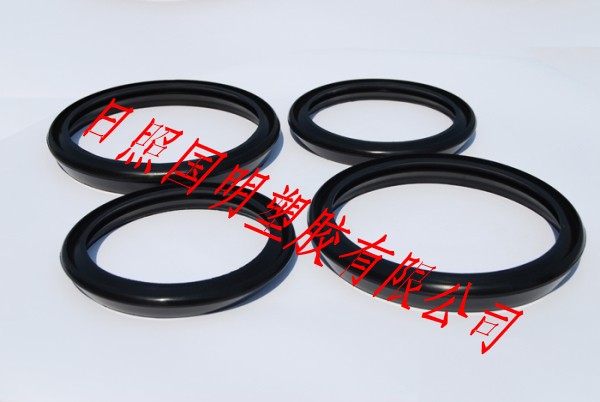 橡膠密封圈圖片/橡膠密封圈樣板圖 (2)