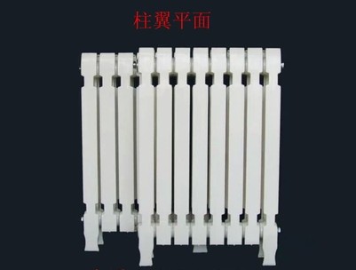 柱翼單柱型鑄鐵暖氣片接工程可定制圖片/柱翼單柱型鑄鐵暖氣片接工程可定制樣板圖 (4)