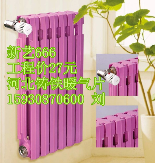 鑄鐵暖氣片圖片/鑄鐵暖氣片樣板圖 (4)