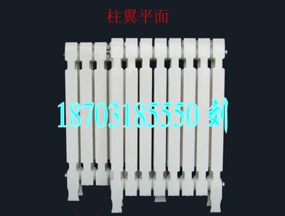 冀州柱翼平面700鑄鐵散熱器/暖氣片圖片/冀州柱翼平面700鑄鐵散熱器/暖氣片樣板圖 (1)