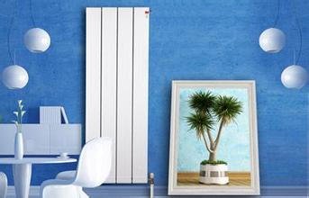 查瑞斯暖氣片圖片/查瑞斯暖氣片樣板圖 (3)