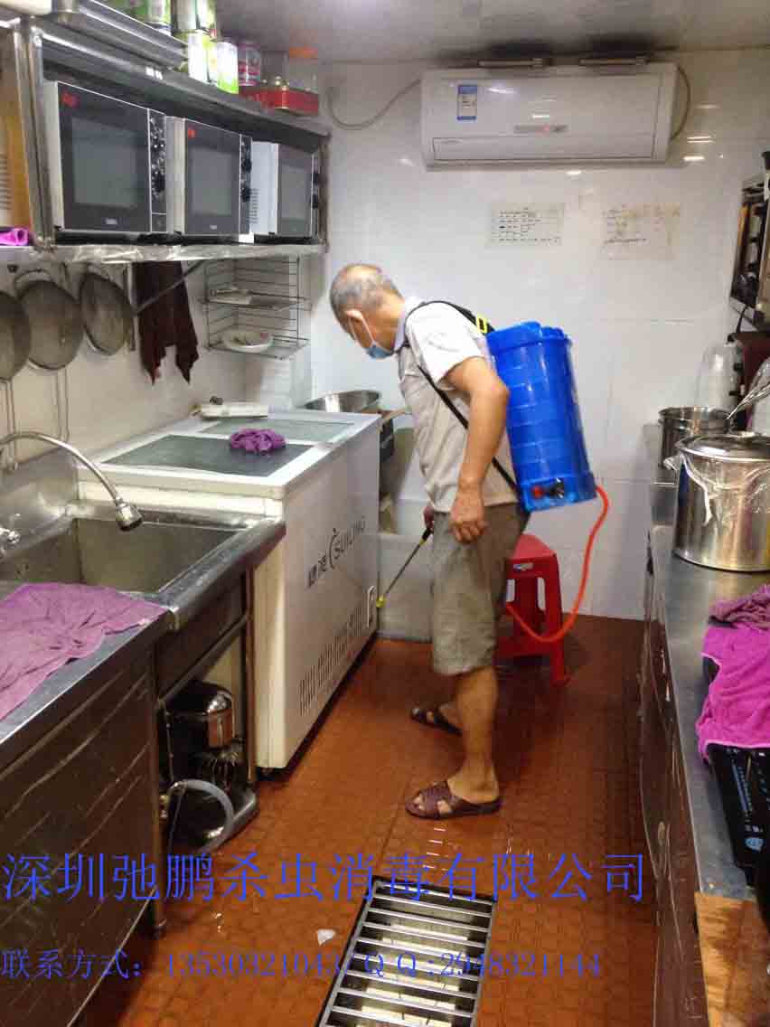 寶安治白蟻公司西鄉(xiāng)治白蟻公司圖片