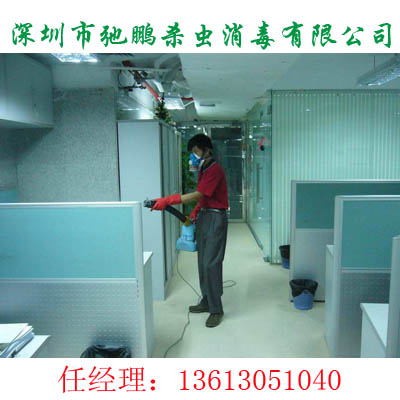 深圳寶安龍華治殺害蟲滅鼠公司圖片