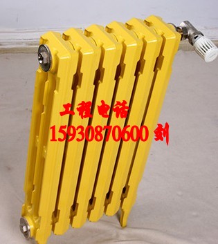 鑄鐵暖氣片圖片/鑄鐵暖氣片樣板圖 (3)