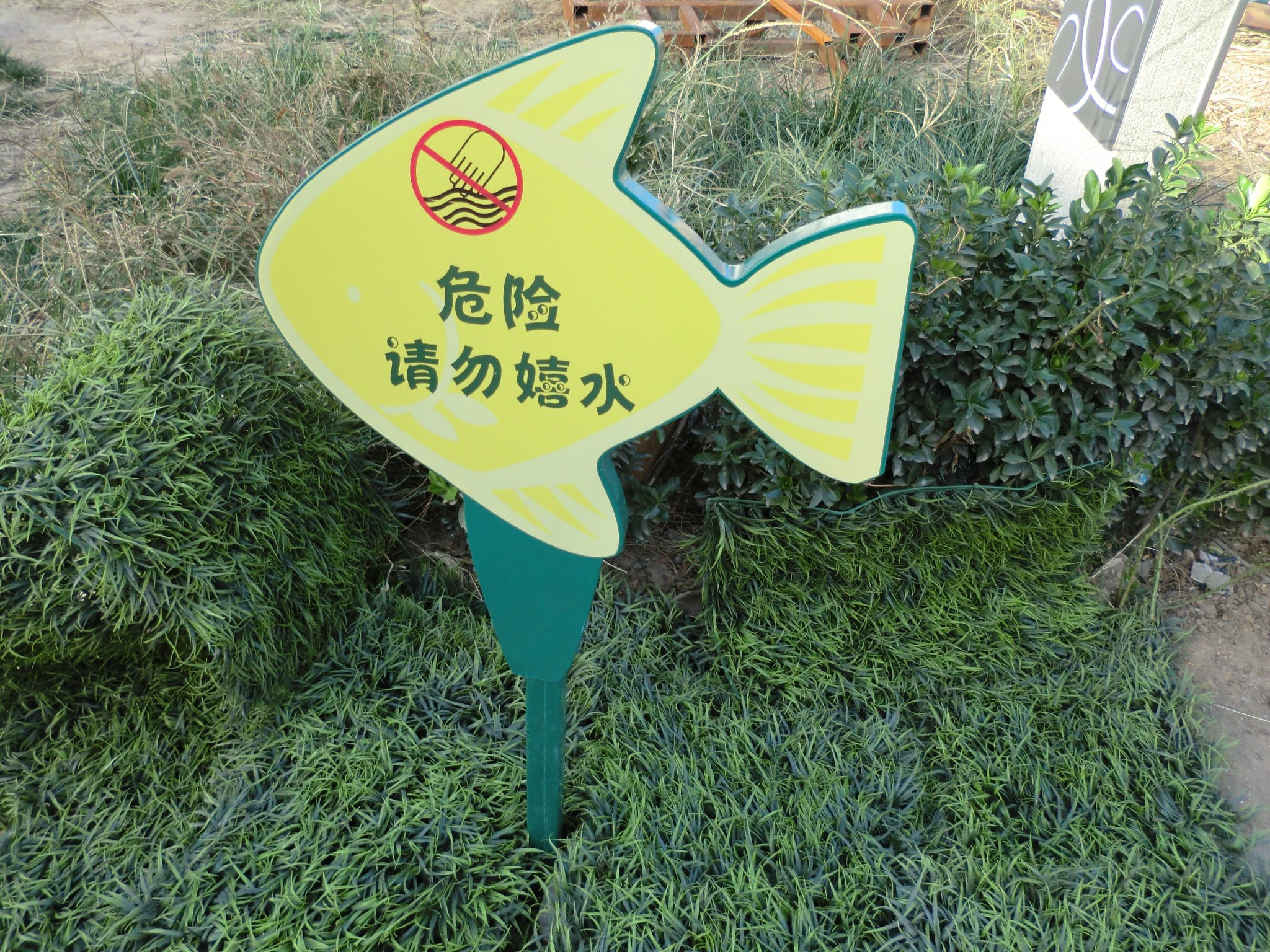 草地牌圖片/草地牌樣板圖 (2)