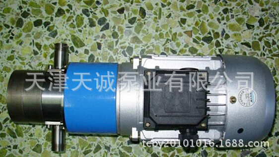 齒輪泵圖片/齒輪泵樣板圖 (4)