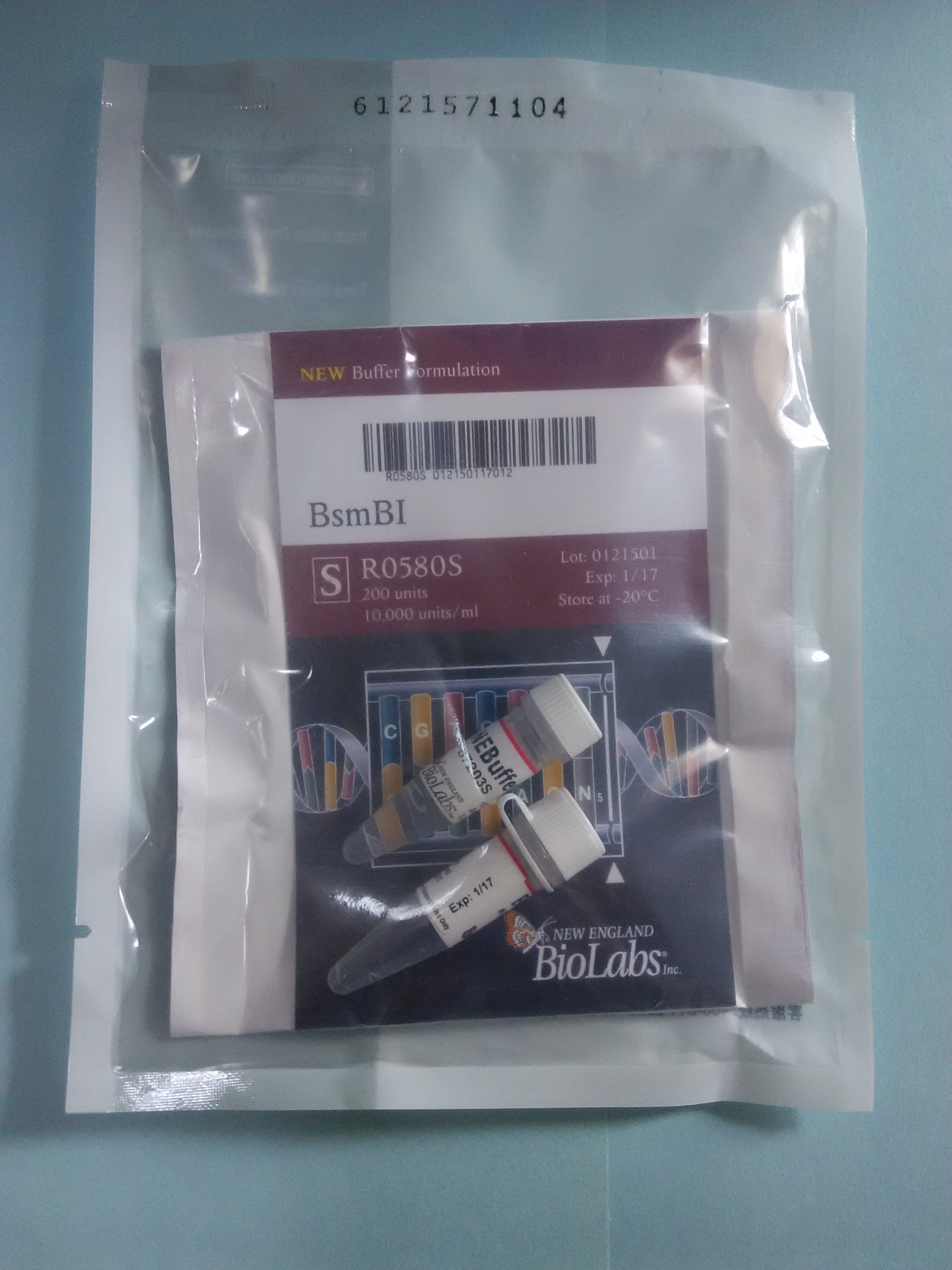 限制性內(nèi)切酶BsmBI圖片