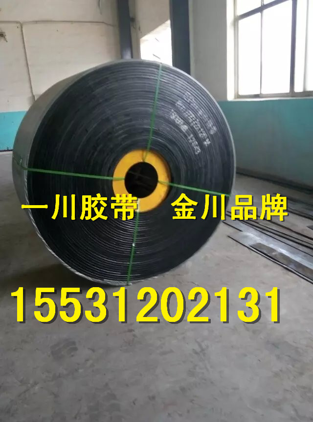 輸送帶圖片/輸送帶樣板圖 (2)