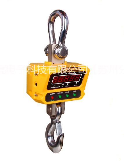 友聲耐高溫電子吊秤圖片