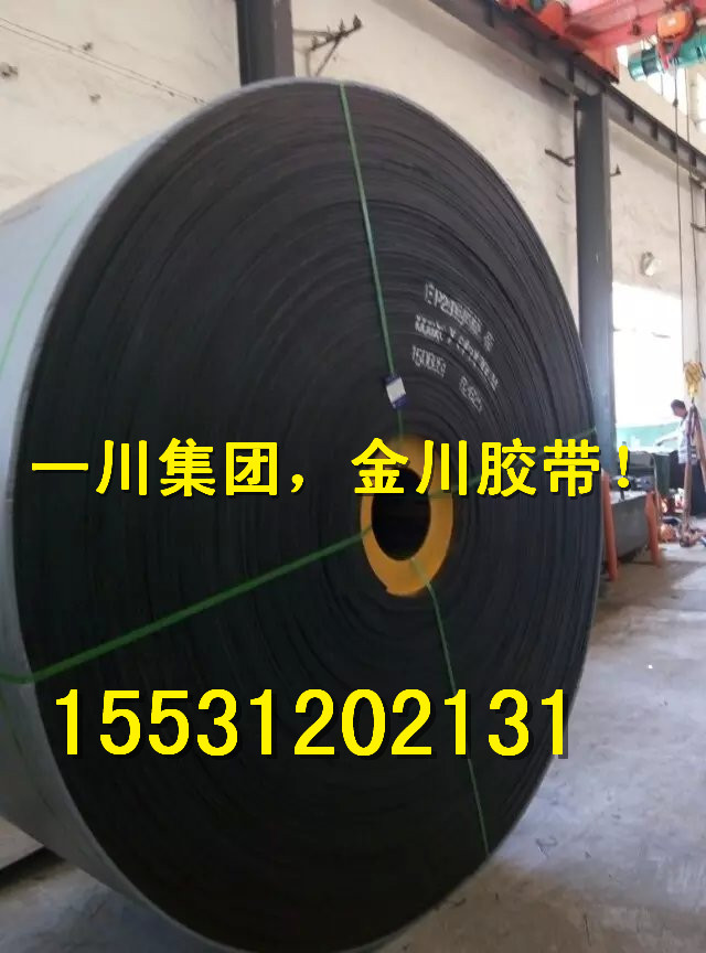 供應用于輸?shù)暮颖变摻z繩輸送帶，ST1600