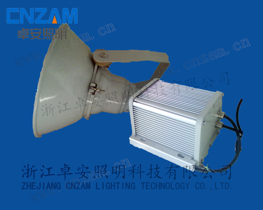 供應(yīng)NTC9200防震 投光燈 泛光燈 防眩燈 型號 電廠燈