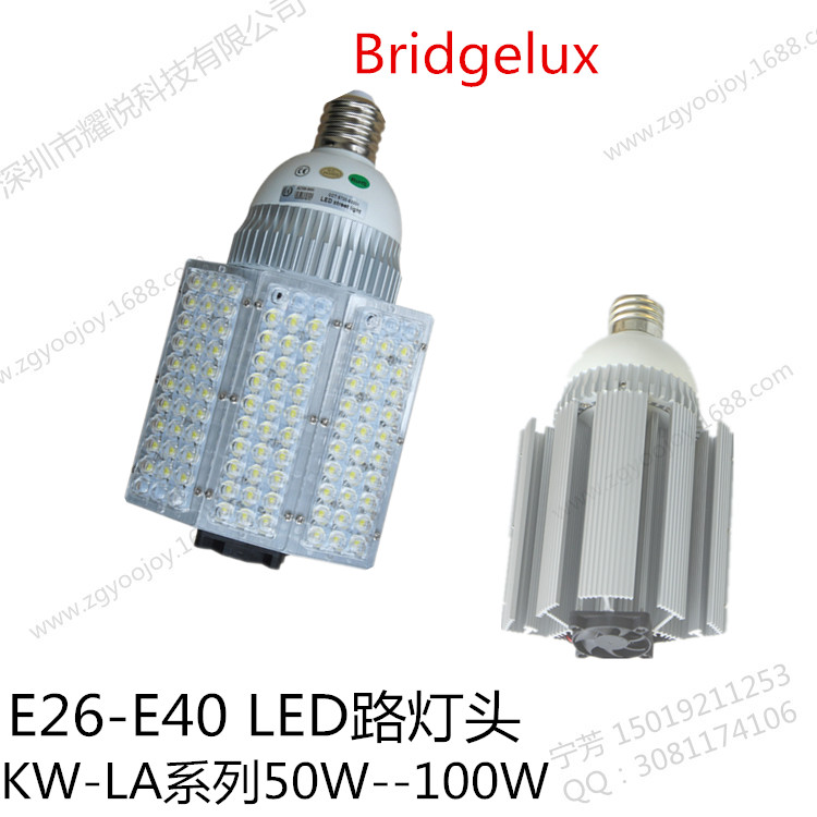 50W 60W 80W 100W E40 LED路灯图片