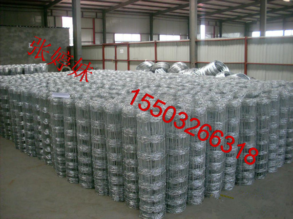 牛欄網(wǎng)圖片/牛欄網(wǎng)樣板圖 (4)