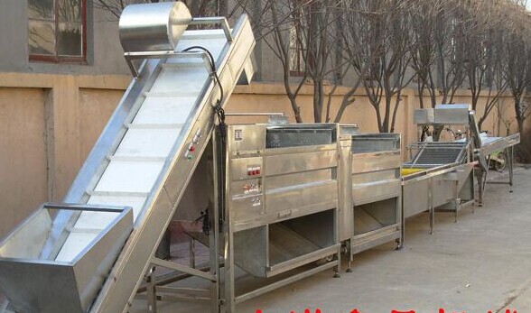 廠家直供用于清洗醬菜的醬菜清洗機(jī)圖片