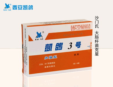 鴿藥,鴿子藥【凱鴿3號(hào)】圖片