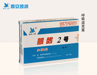 鴿藥.【凱鴿2號(hào)加強(qiáng)型500粒/瓶】圖片