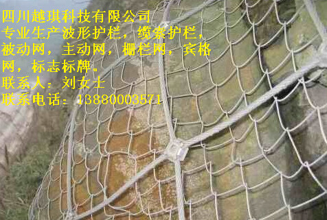 主動網(wǎng)價格圖片/主動網(wǎng)價格樣板圖 (4)