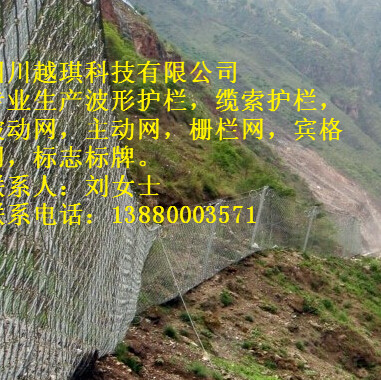 RX050被動網(wǎng)圖片/RX050被動網(wǎng)樣板圖 (3)