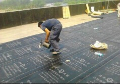 供應(yīng)坪山防水坪山防水補(bǔ)漏坪山防水補(bǔ)漏公司15920051600