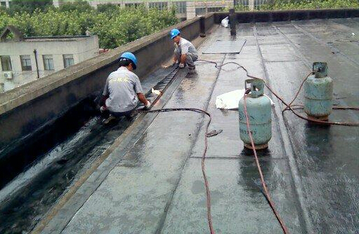 觀瀾防水補(bǔ)漏圖片/觀瀾防水補(bǔ)漏樣板圖 (4)