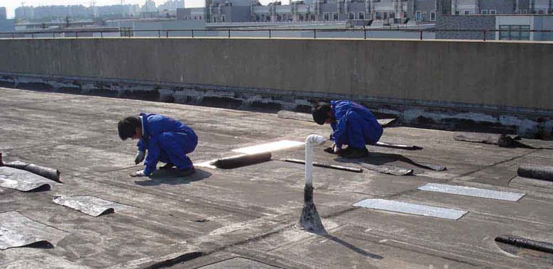 龍崗防水補(bǔ)漏圖片/龍崗防水補(bǔ)漏樣板圖 (3)