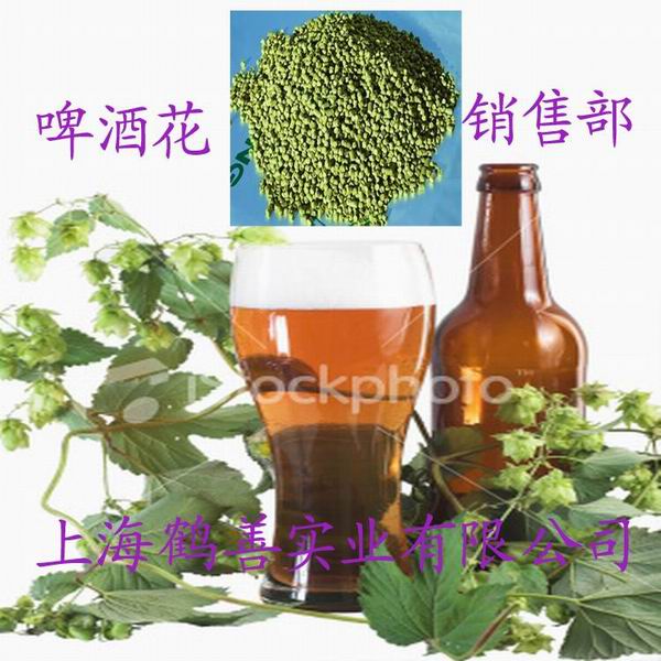 啤酒花廠家正品 烘焙增味劑圖片/啤酒花廠家正品 烘焙增味劑樣板圖 (4)