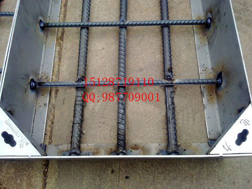 不銹鋼隱形井蓋圖片/不銹鋼隱形井蓋樣板圖 (2)