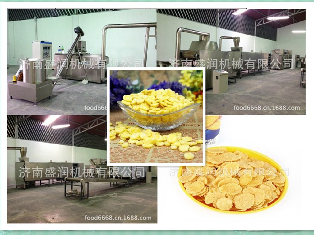 早餐玉米片設(shè)備圖片