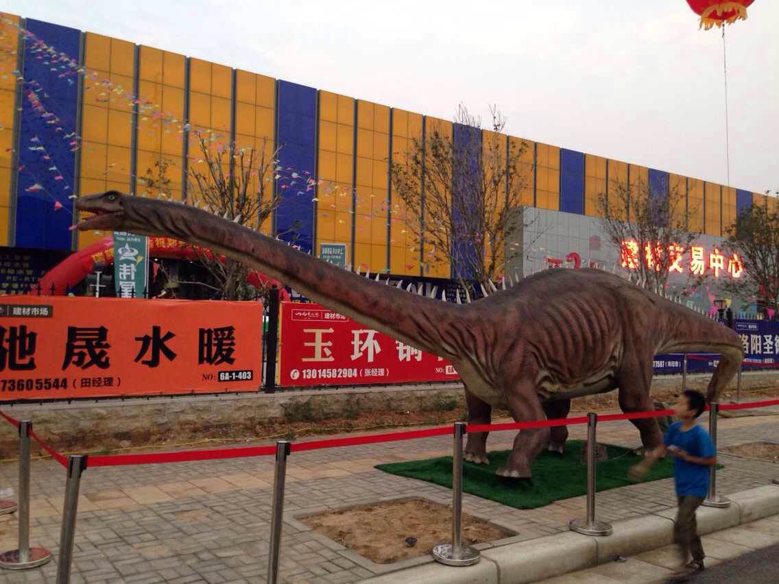 展示模型圖片