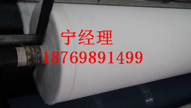 土工布生產(chǎn)圖片/土工布生產(chǎn)樣板圖 (2)