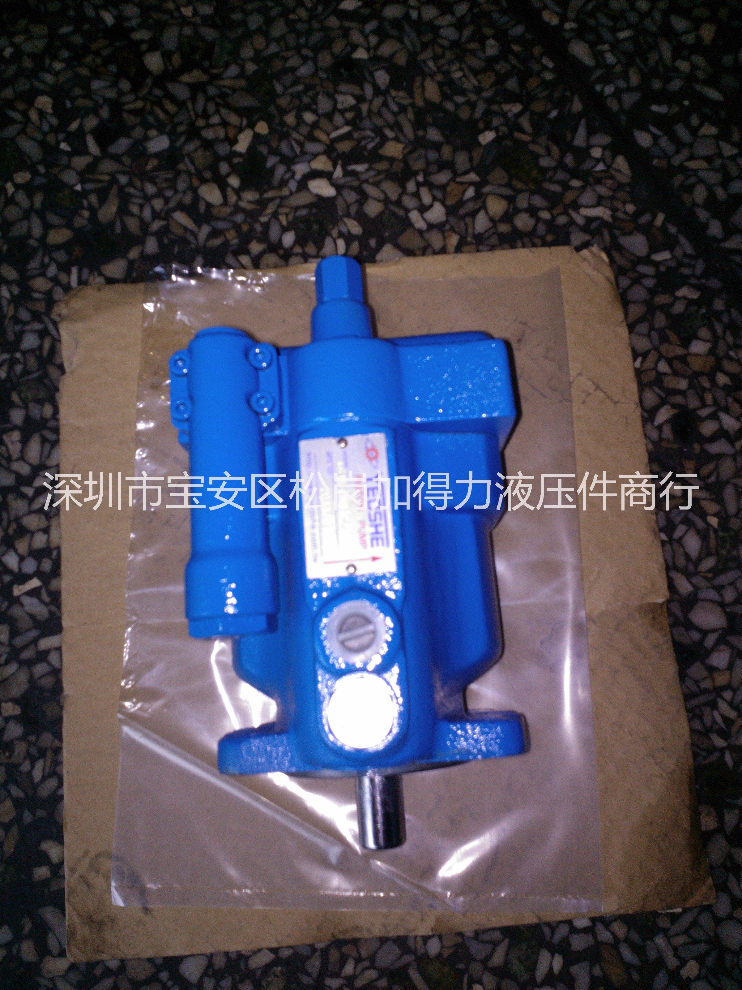 V型柱塞泵圖片/V型柱塞泵樣板圖 (3)