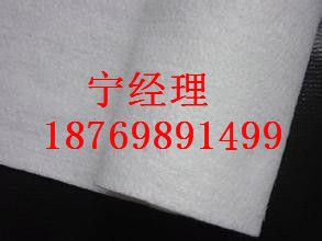 短纖針刺土工布圖片/短纖針刺土工布樣板圖 (3)