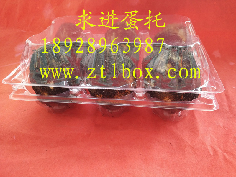 鴨蛋托供應(yīng)圖片