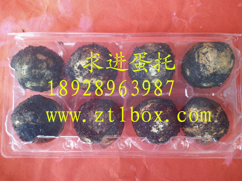 裝鴨蛋的塑料盒子圖片