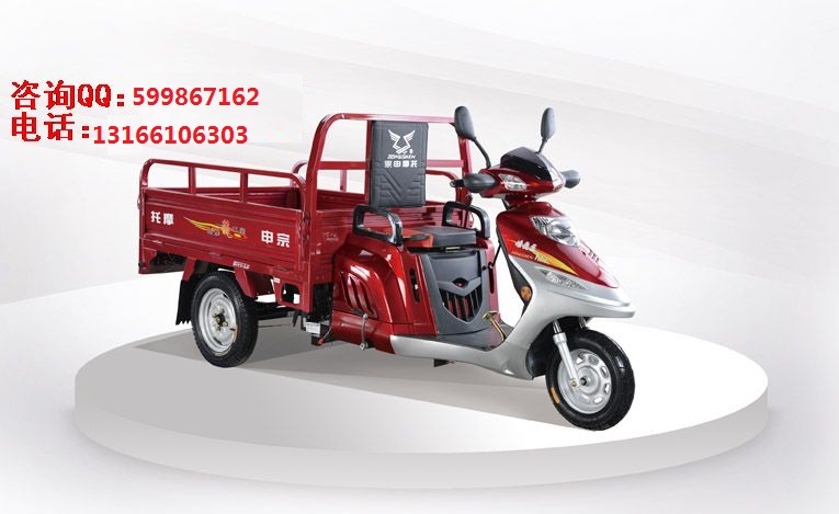 宗申T11凌鷹王110-1單燈正圖片/宗申T11凌鷹王110-1單燈正樣板圖 (1)