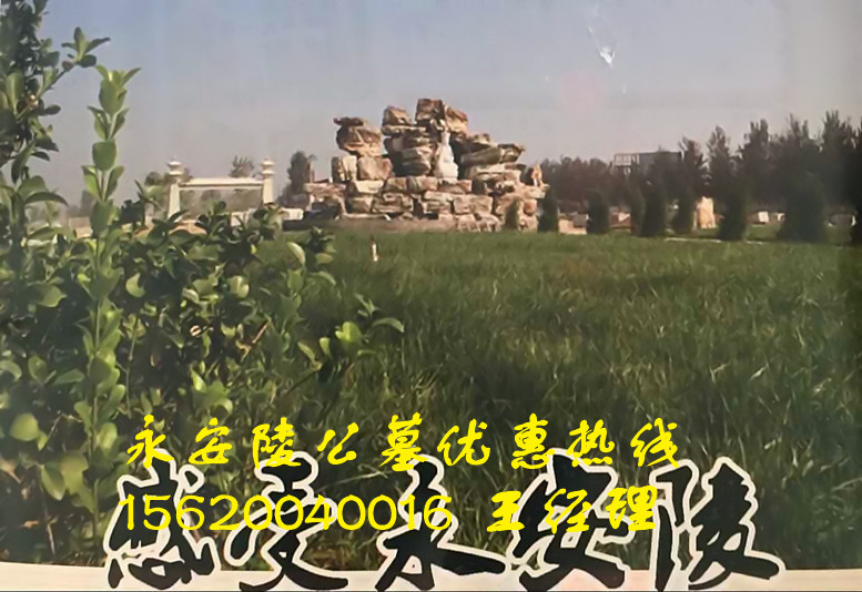 天津永安陵公墓墓地價(jià)格圖片