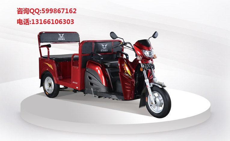 宗申Z3小金虎三輪摩托車圖片/宗申Z3小金虎三輪摩托車樣板圖 (1)