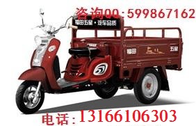 供應(yīng)福田五星100ZY(N)三輪老年摩托車(chē)
