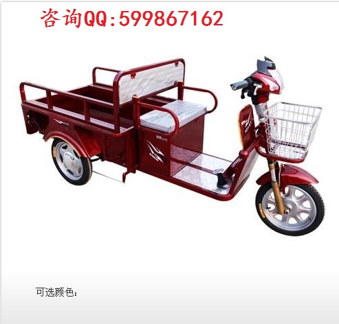 綠源DSZ4-4820B電動三輪圖片