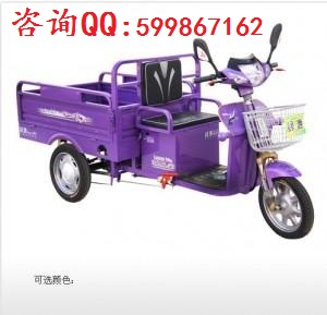 綠源DSZ2-4820B電動三輪圖片