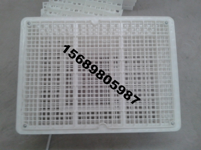 容量大經(jīng)久耐用大雞筐圖片/容量大經(jīng)久耐用大雞筐樣板圖 (2)