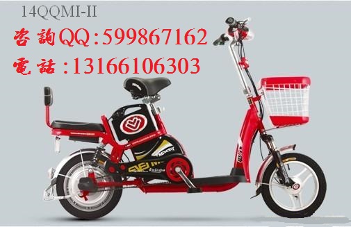 愛瑪14QQMI-II電動(dòng)車圖片