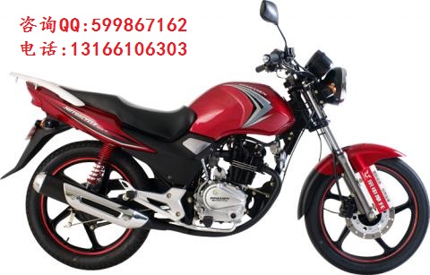 供應(yīng)宗申天翼摩托車 大力王